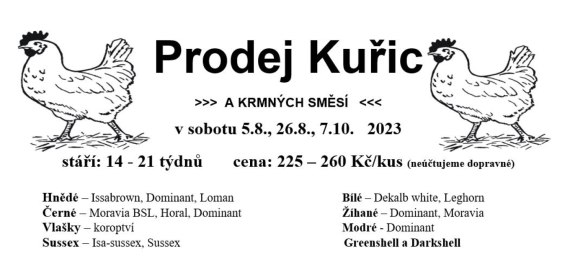 Prodej kuřic