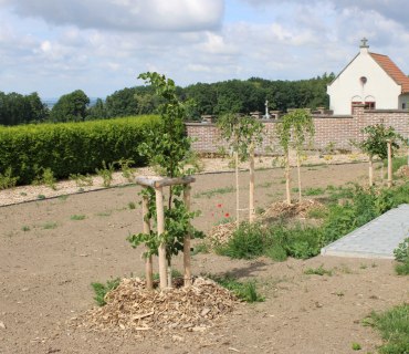 Rekonstrukce parčíku u hřbitova na Boháňce