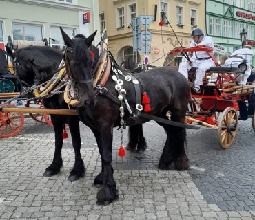 Hasičské slavnosti v Litoměřicích 2025